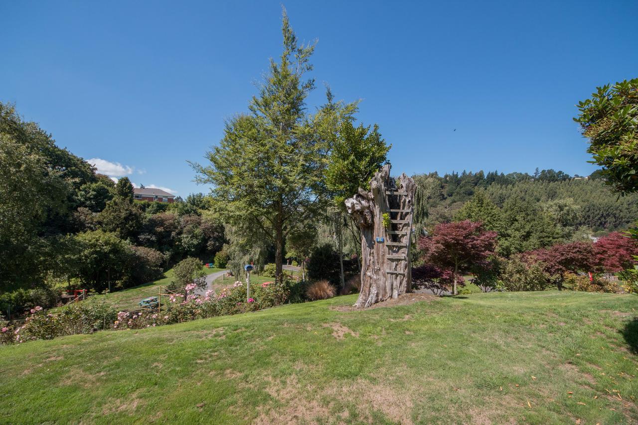 Aaron Lodge Holiday Park Dunedin Exterior foto